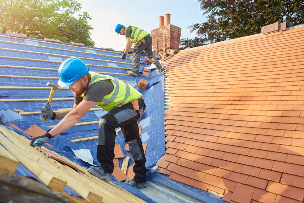 Best Roof Moss and Algae Removal  in Hanahan, SC